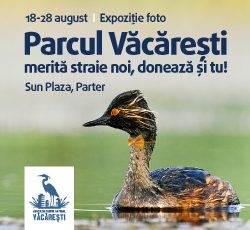 Parcul Natural Vacaresti