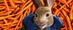 desene animate peter rabbit