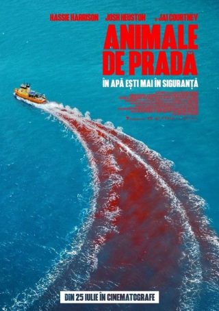 Animale de prada